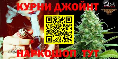 a pvp Свободный